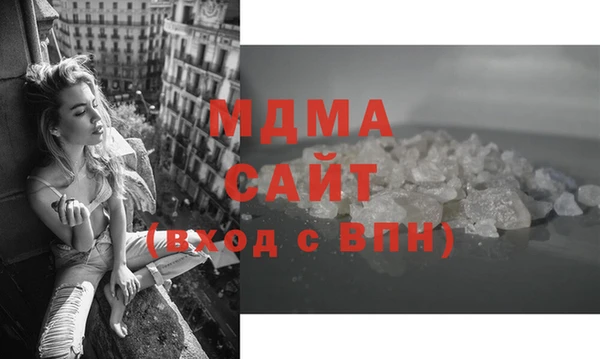 прущие грибы Михайлов