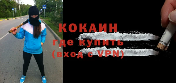 прущие грибы Михайлов
