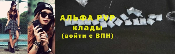 прущие грибы Михайлов