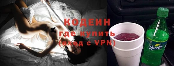 прущие грибы Михайлов