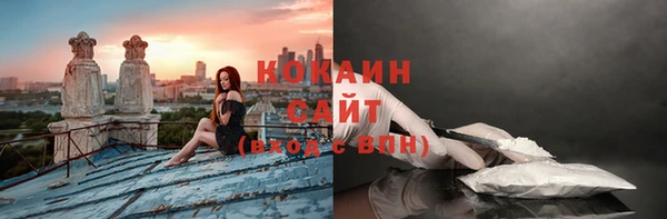 прущие грибы Михайлов