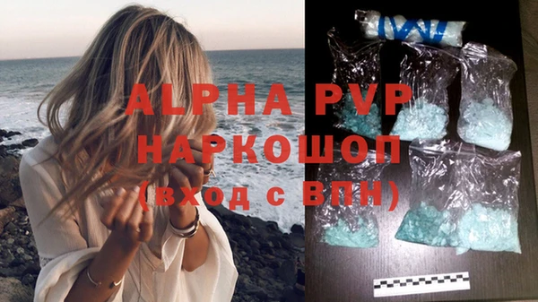 прущие грибы Михайлов