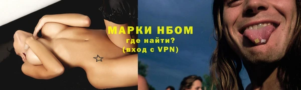 прущие грибы Михайлов