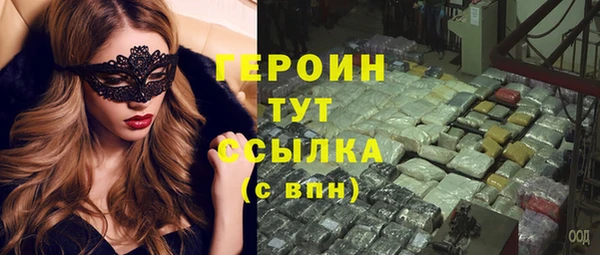 прущие грибы Михайлов