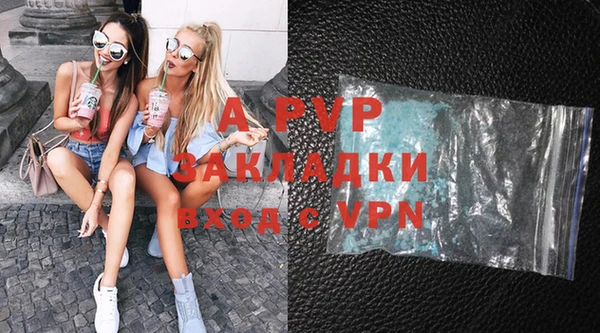 прущие грибы Михайлов