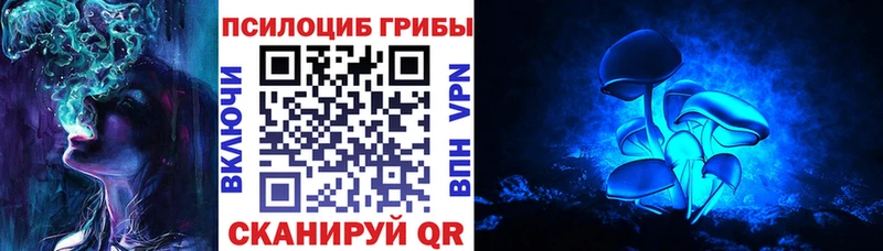Псилоцибиновые грибы MAGIC MUSHROOMS  как найти закладки  Харабали 